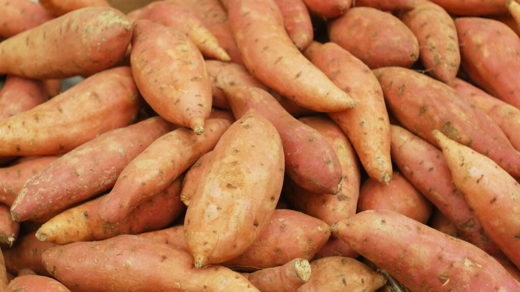 O segredo por trás da batata doce que os atletas não abrem mão