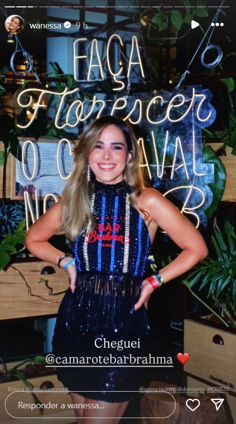 Wanessa Camargo encanta no Carnaval após término de relacionamento