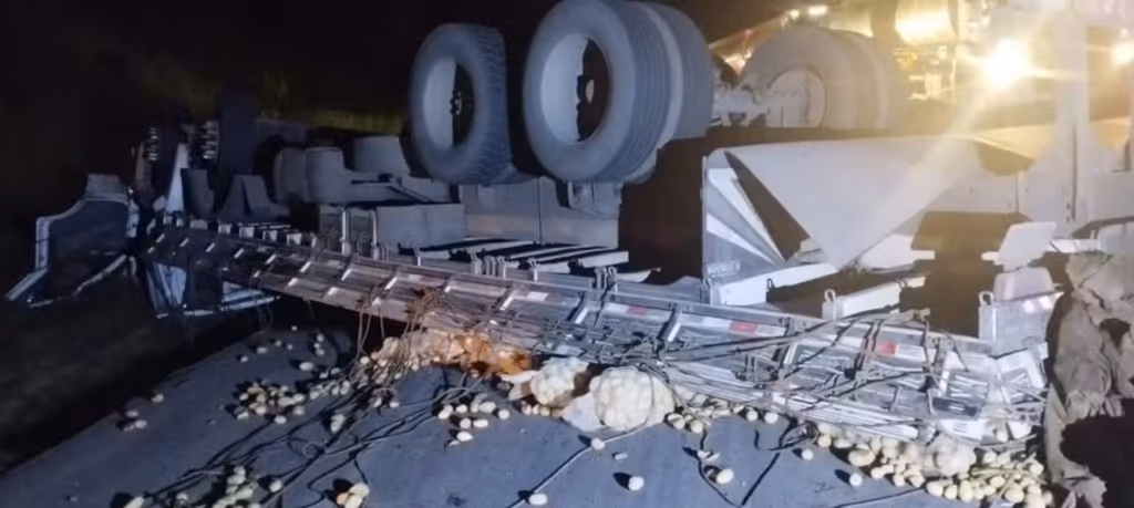 Caminhão carregado de batatas sofre acidente na BR-262