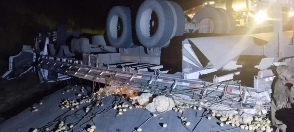 Caminhão carregado de batatas sofre acidente na BR-262