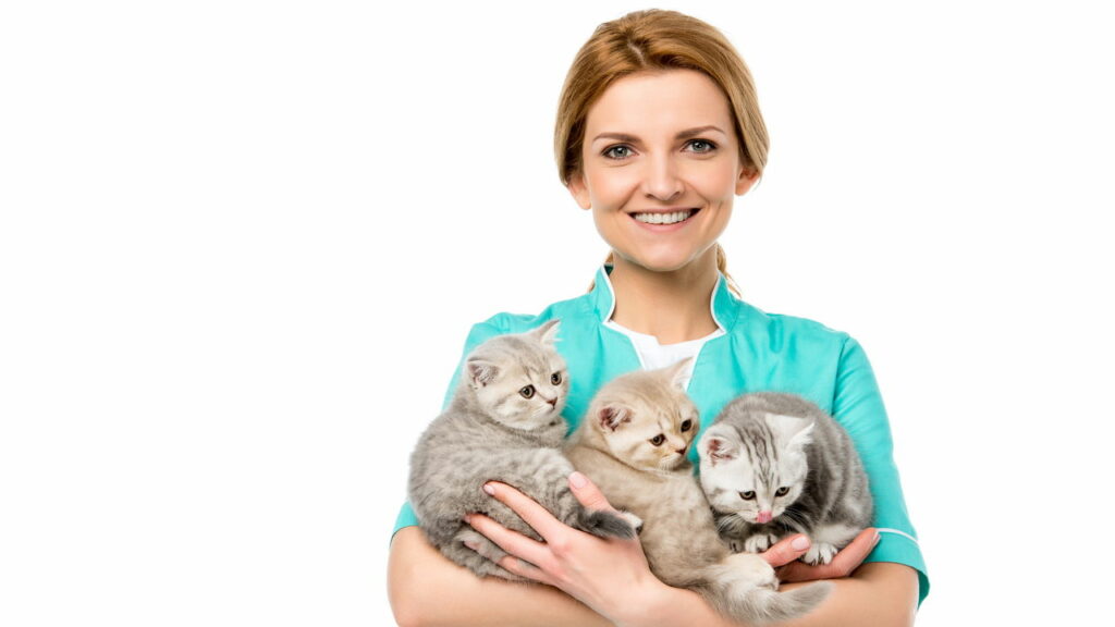 Como identificar alergias em Pets