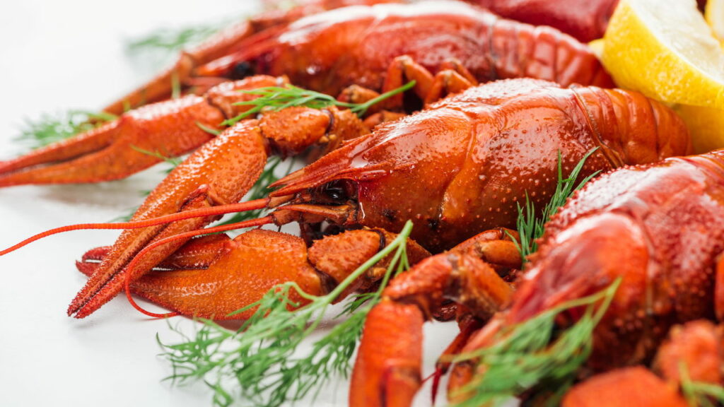 Dívida de R$ 1 bilhão leva a falência grande rede de restaurantes