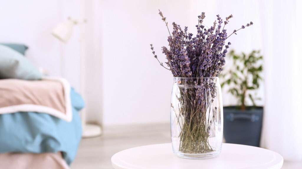 Traga a natureza para dentro de casa! Veja os benefícios das plantas na saúde mental