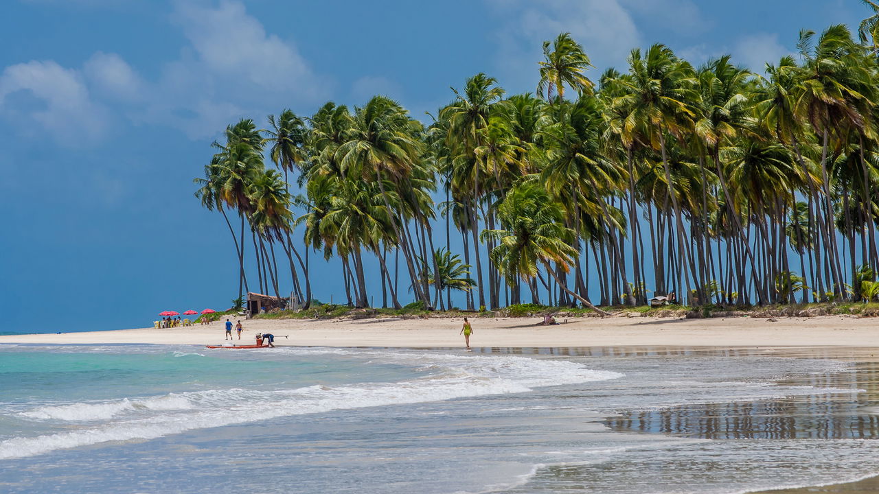 Essa cidade brasileira tem clima frio no Nordeste e café que encanta visitantes