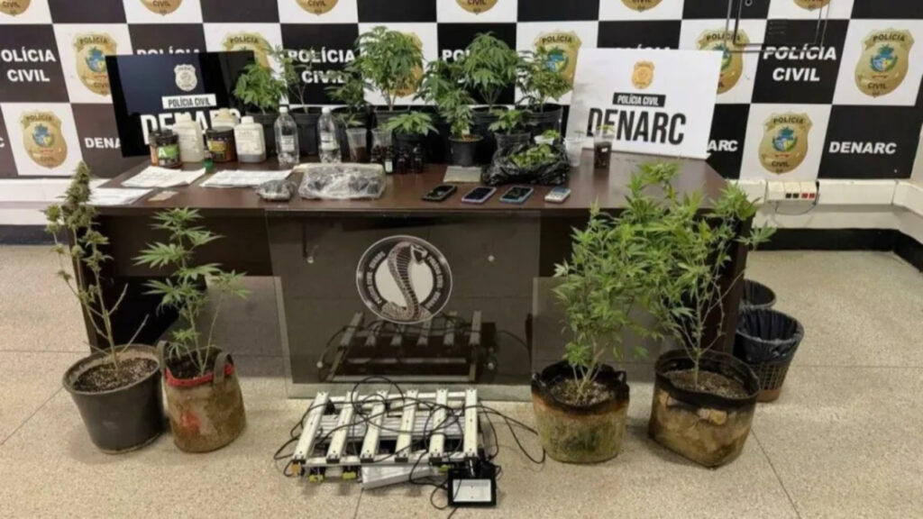 Laboratório de maconha é fechado em Goiânia