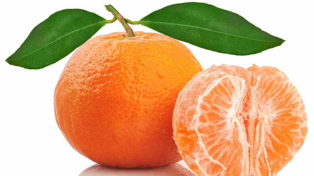 As frutas cítricas mais eficazes na prevenção de doenças e na saúde geral