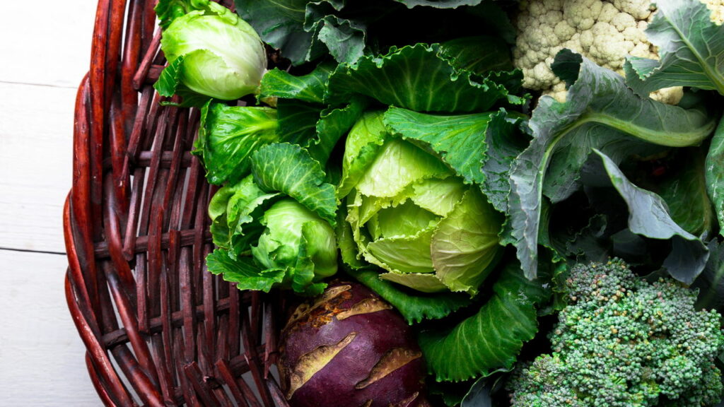 Os melhores vegetais para uma dieta leve e rica em fibras