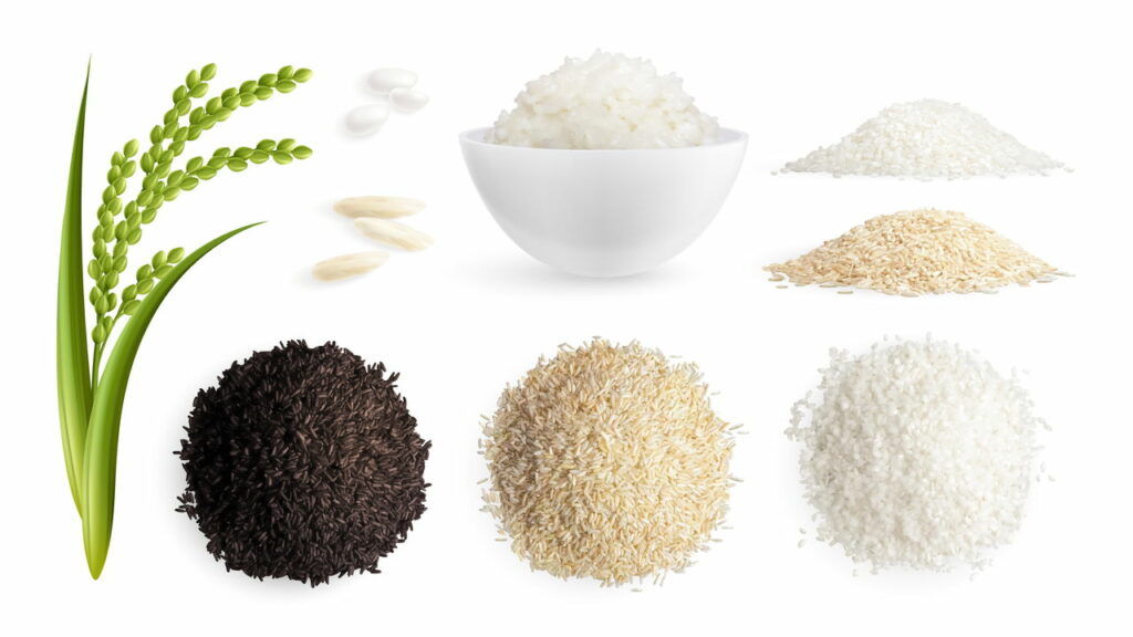 Arroz integral é a melhor escolha para quem quer viver bem