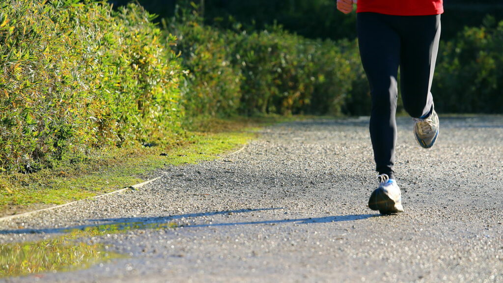 Esses são os melhores exercícios para treinar o corpo inteiro