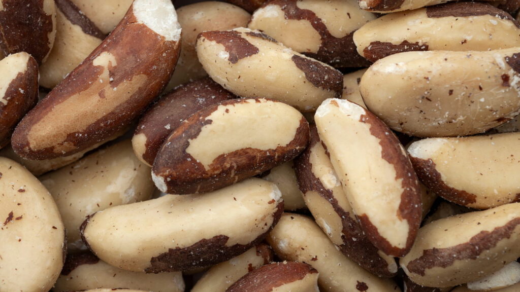 O mineral abundante na castanha-do-pará que pode ajudar na prevenção do câncer