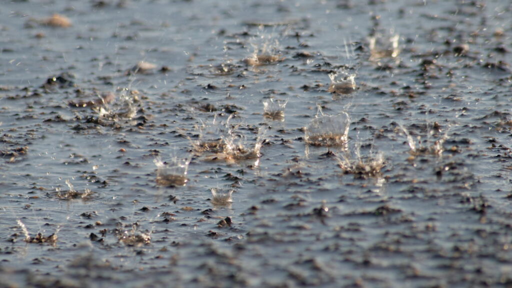Santa Catarina entra em alerta para chuvas intensas