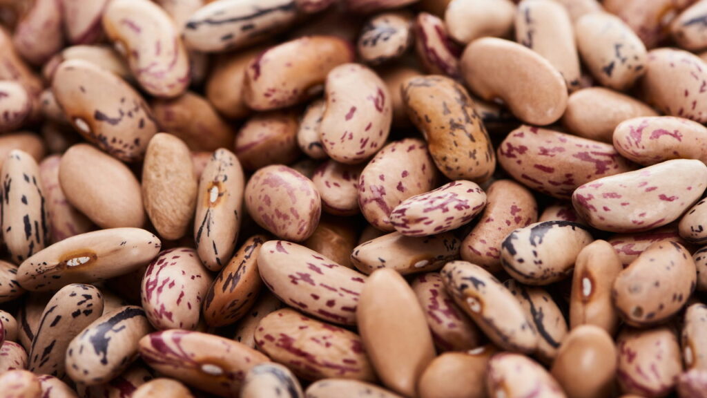 O superalimento sustentável que poucos conhecem