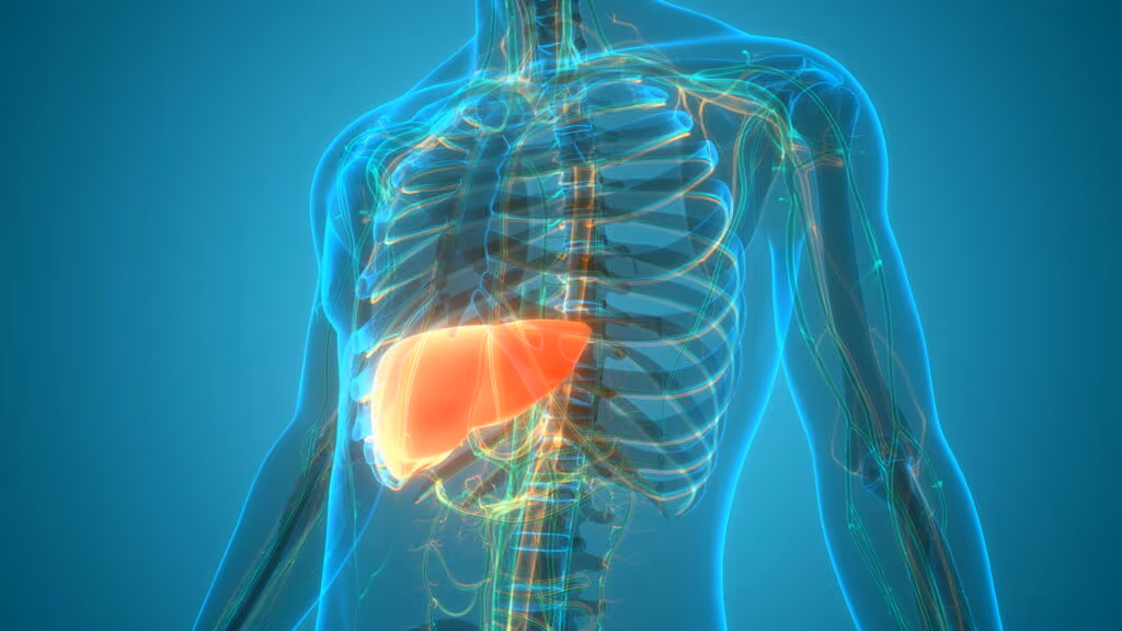 O responsável pelo detox do corpo, as vezes precisa de um também! 