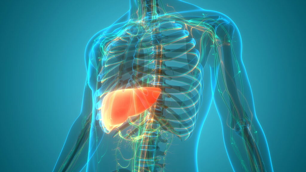 O responsável pelo detox do corpo, as vezes precisa de um também! 