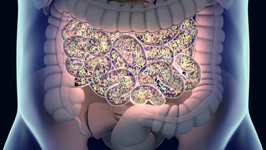 Você sabe qual a diferença entre probióticos e prebióticos, como eles ajudam seu intestino?