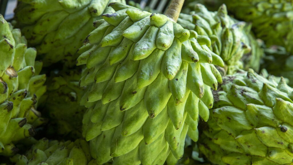 Essa fruta deliciosa pode fortalecer sua imunidade e emagrecer