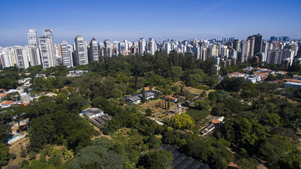 A ONU reconheceu essa cidade brasileira pela sua arborização