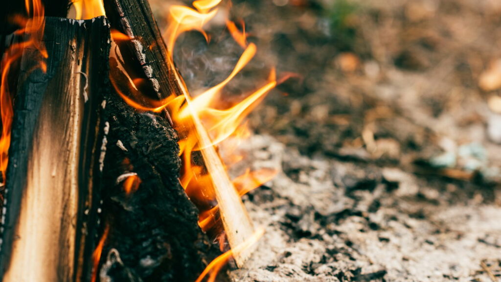 Incêndios florestais na Coreia do Sul se tornam históricos