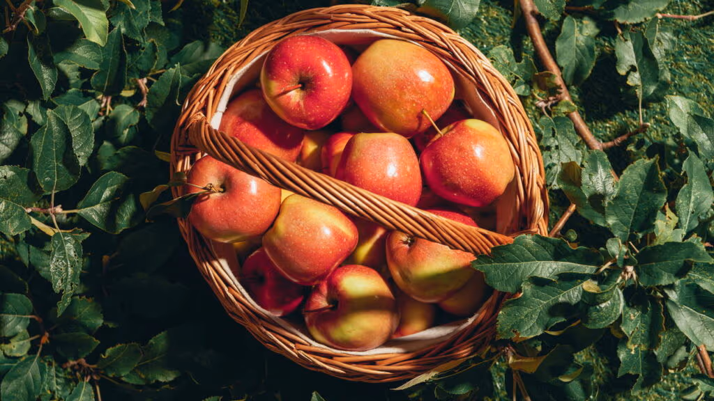 O que acontece no seu corpo quando você come maçã todos os dias