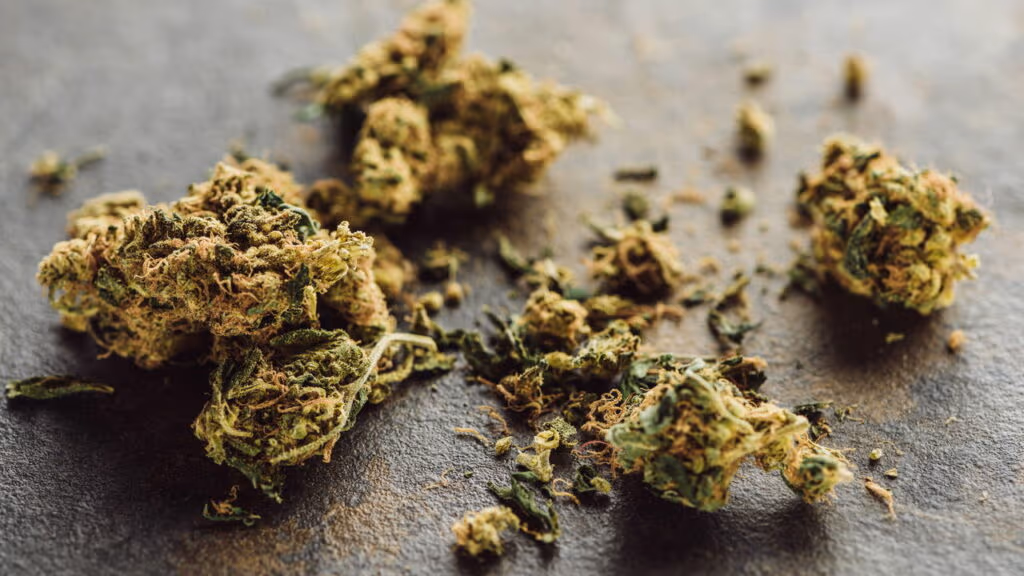 1 tonelada de drogas são apreendidas na fronteira com o Paraguai