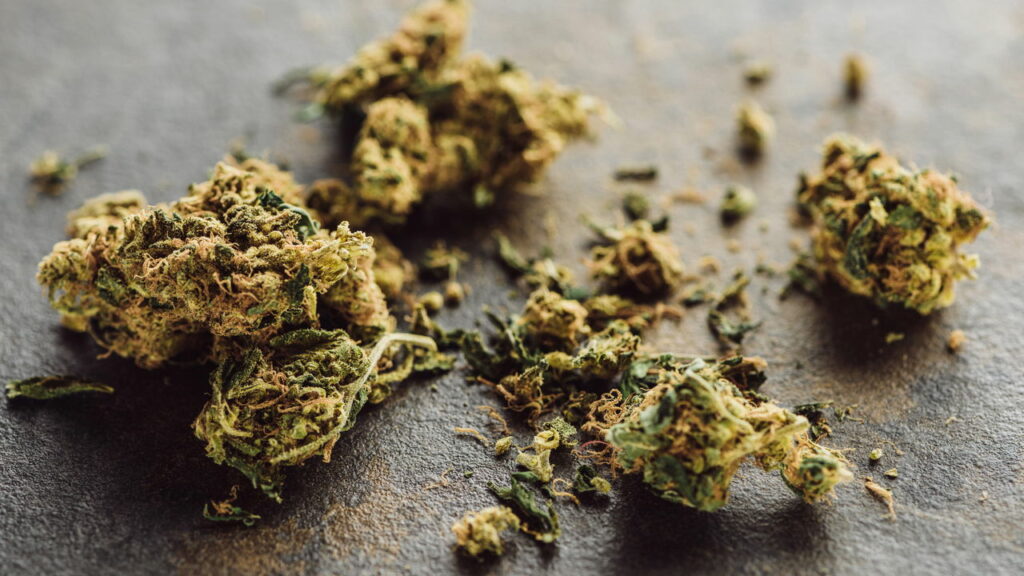 1 tonelada de drogas são apreendidas na fronteira com o Paraguai