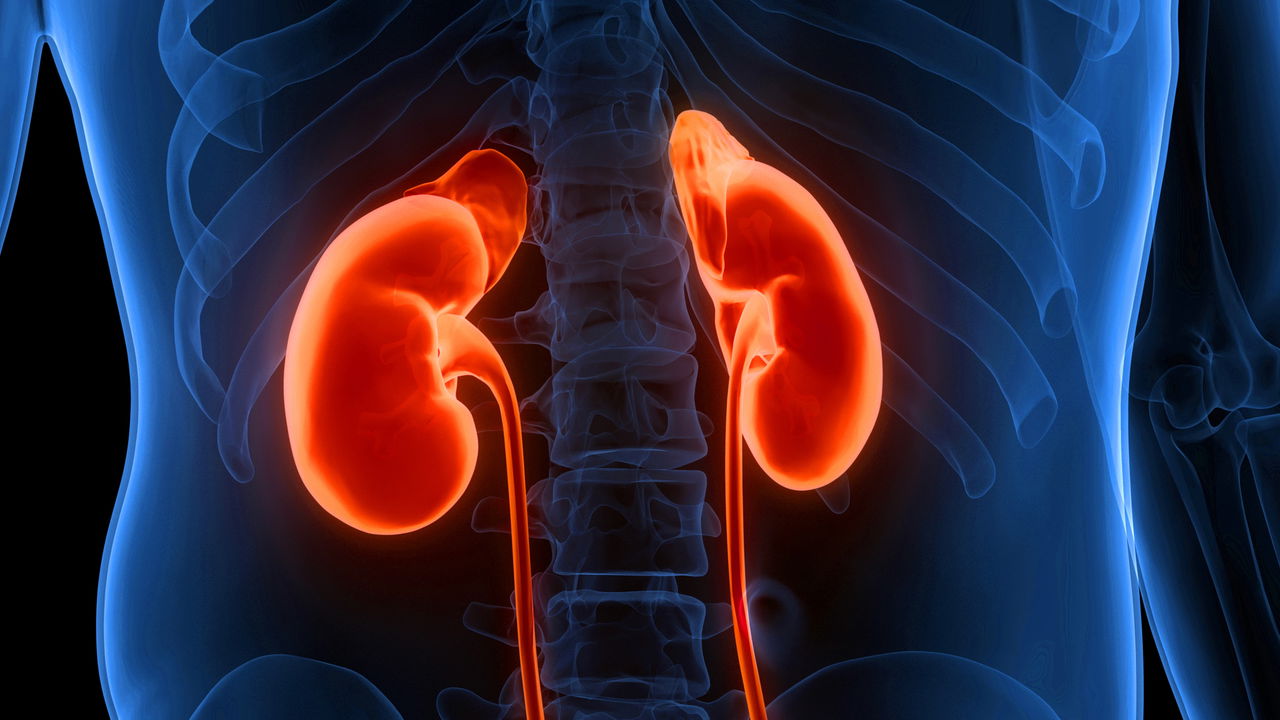 5 suplementos que podem estar sobrecarregando seus rins