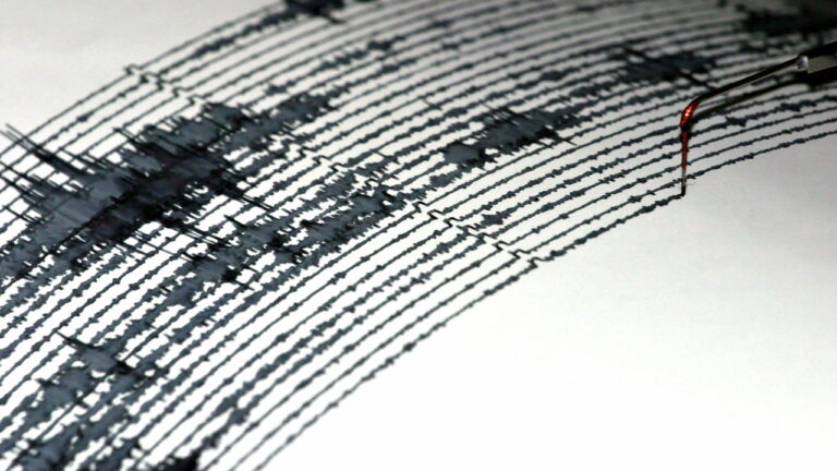 Imagem Item