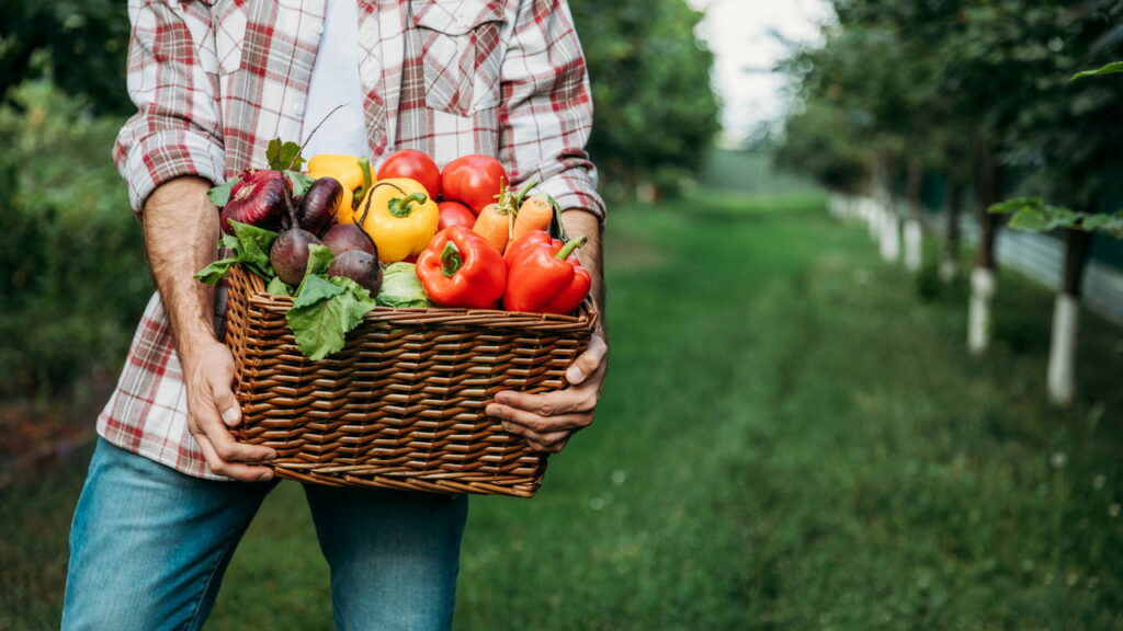 Você pode estar ignorando os alimentos que mais fortalecem sua saúde
