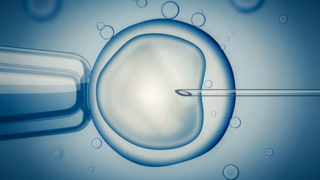 Avanços na fertilização in vitro aumenta em 20% as chances de sucesso