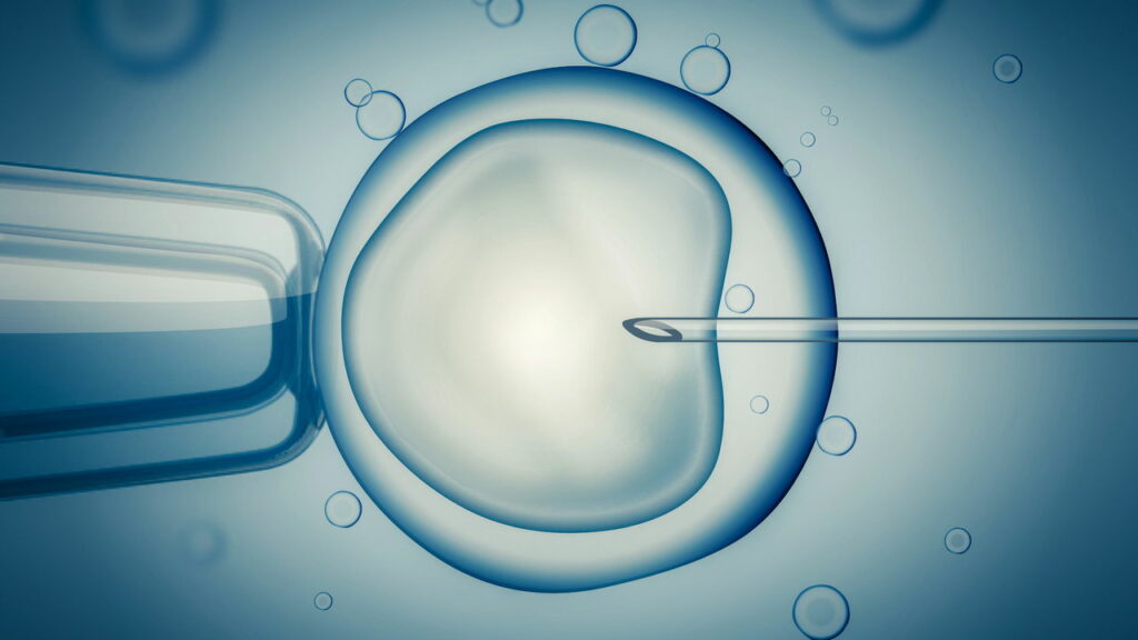Avanços na fertilização in vitro aumenta em 20% as chances de sucesso