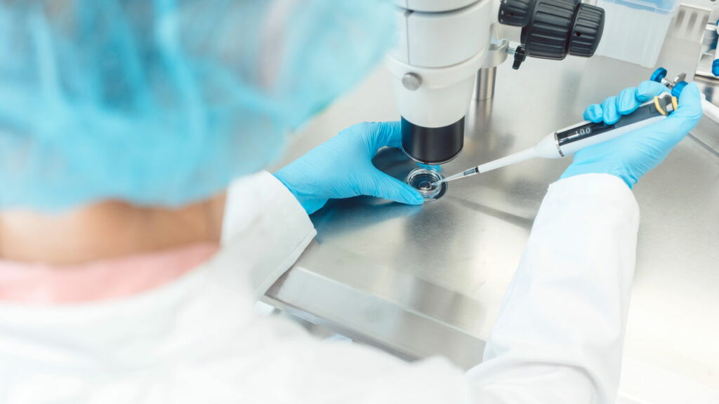 Avanços na fertilização in vitro aumenta em 20% as chances de sucesso