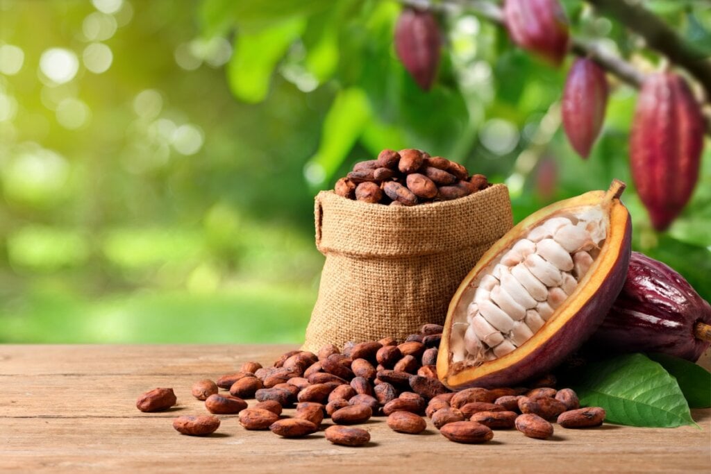 7 benefícios do cacau para a saúde e como consumi-lo