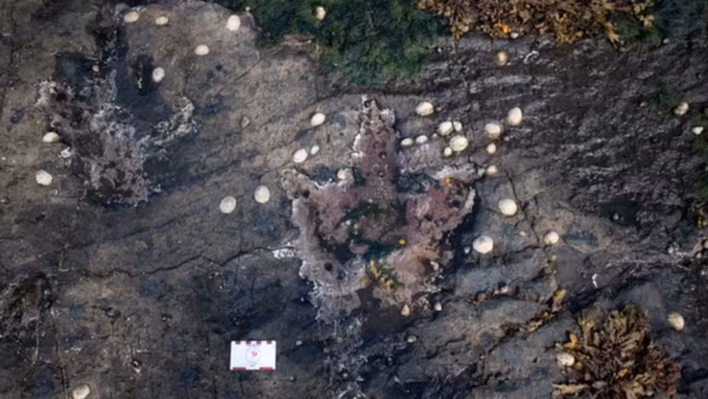 Fósseis de dinossauros de 167 milhões de anos são descobertos na Ilha de Skye