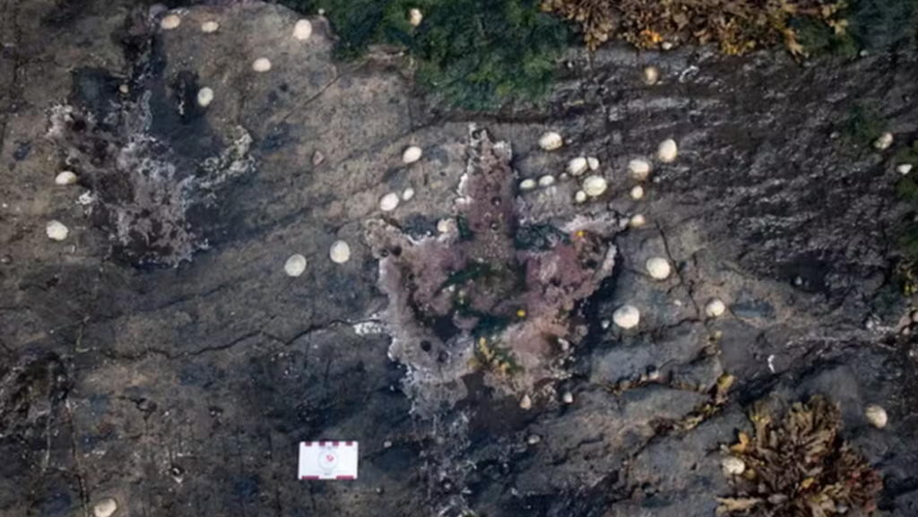 Fósseis de dinossauros de 167 milhões de anos são descobertos na Ilha de Skye