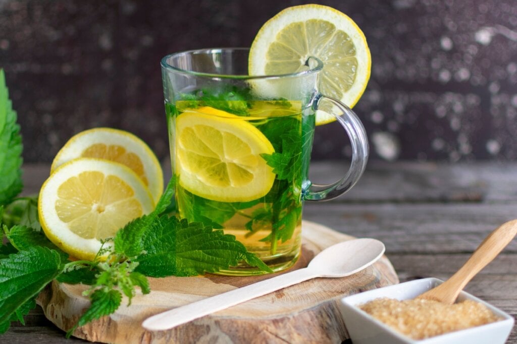 3 chás com a planta mastruz e seus benefícios para a saúde