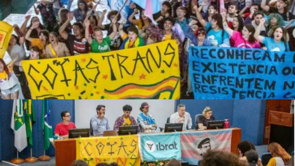 Avanço de cotas para pessoas trans é estupidez autoritária