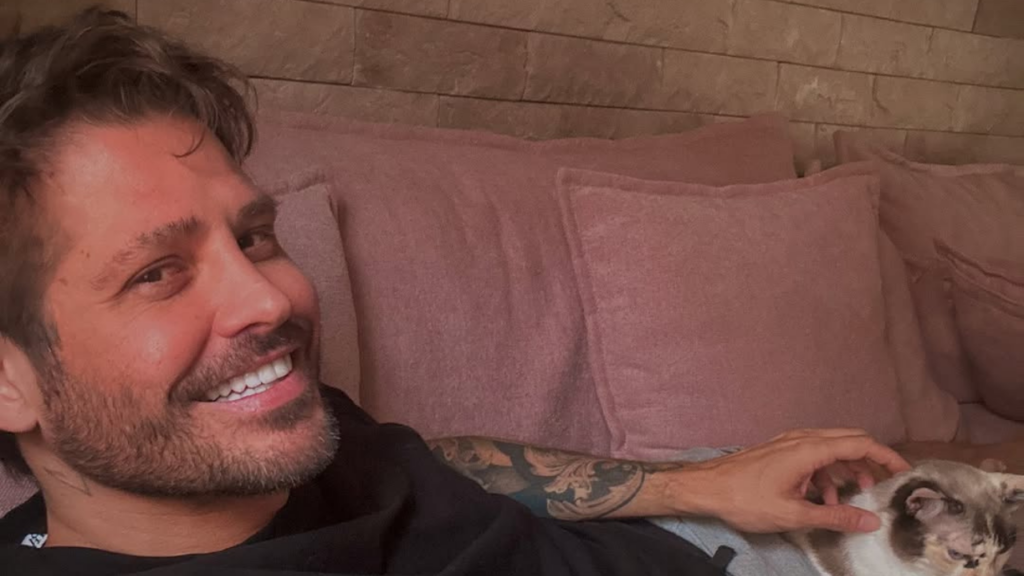 Dado Dolabella sobe o tom e diz que mulheres tem vantagem na justiça