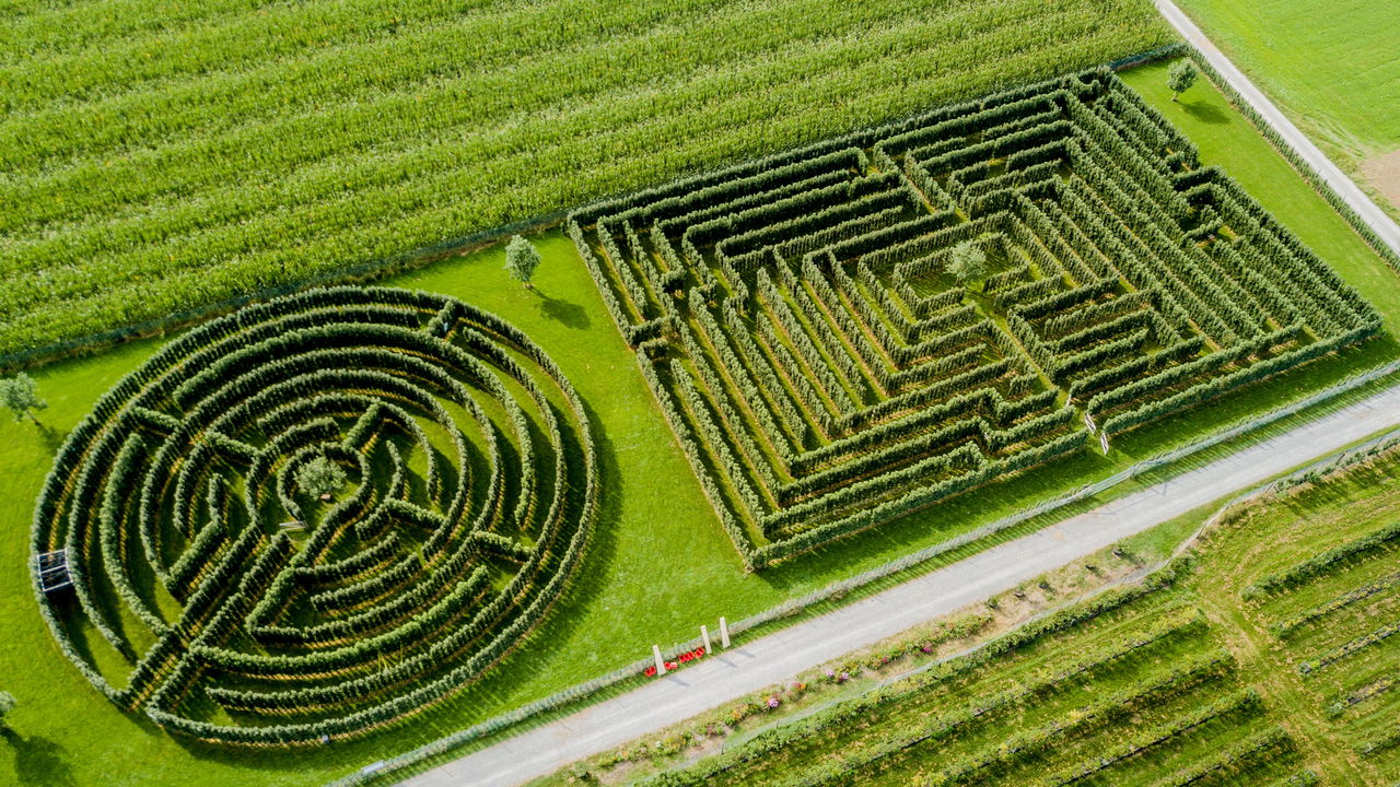 Labirintos são destinos fascinantes e enigmáticos que vão te surpreender