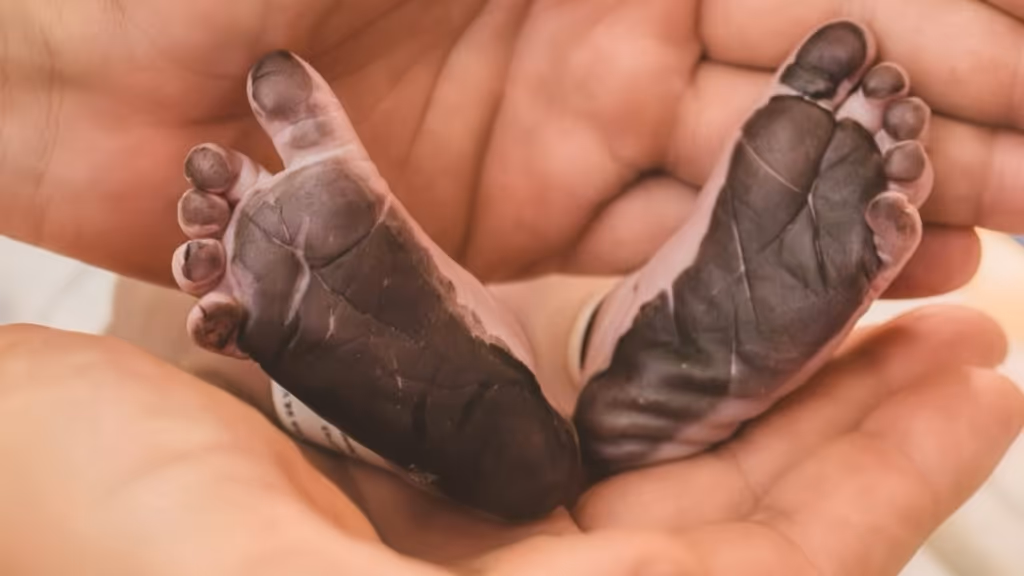 Lucy Ramos encanta ao mostrar encontro da filha com seus pets