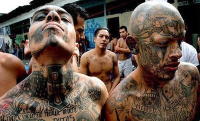 Senador democrata ameaça ir a El Salvador por membro da MS-13