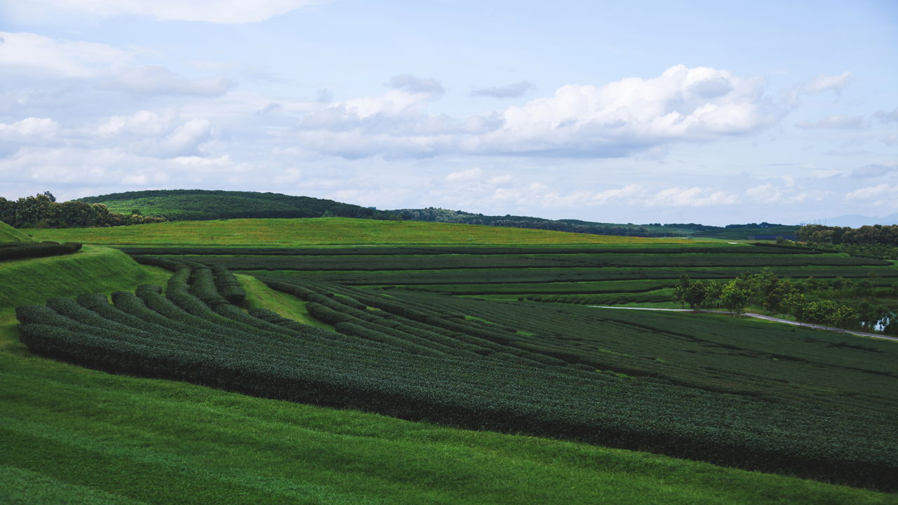 Os fazendeiros mais ricos e famosos do agronegócio brasileiro