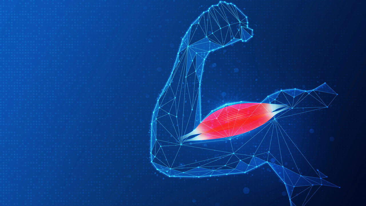 A perda de músculos com a idade não é tão natural quanto parece