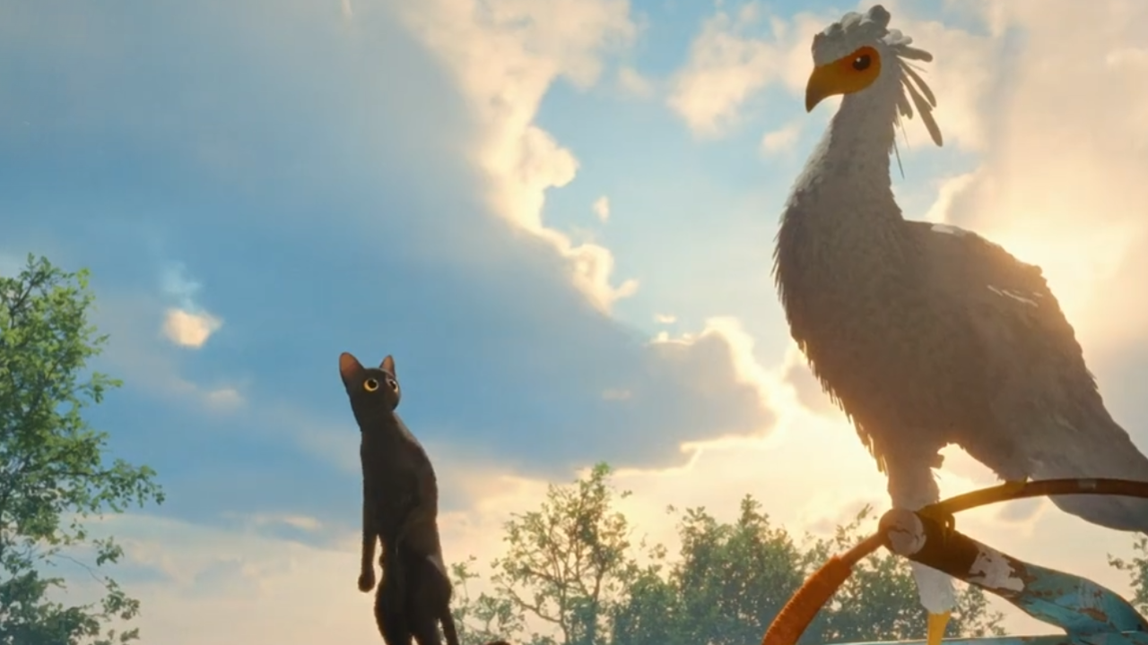 Novidade imperdível no streaming, confira os filmes premiados que você precisa assistir