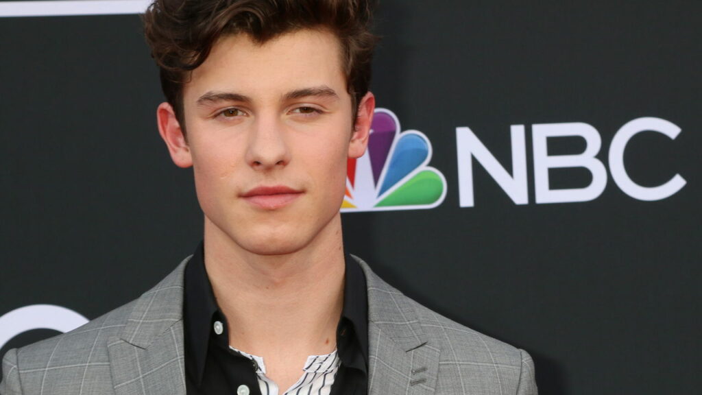 Luiz Bacci revela que expôs o cantor Shawn Mendes