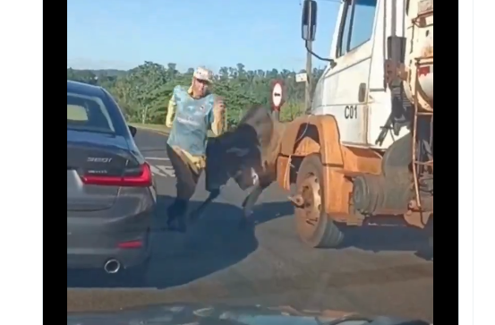 Touro persegue homem e destrói BMW em Ribeirão Preto, vídeo