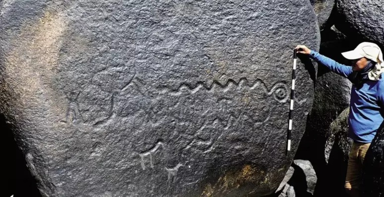 Pinturas rupestres revelam as gigantes anacondas da América do Sul