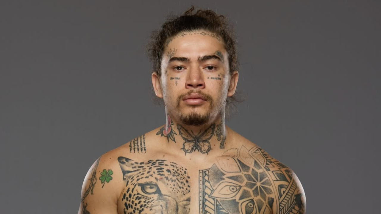 6 celebridades que já se arriscaram na luta