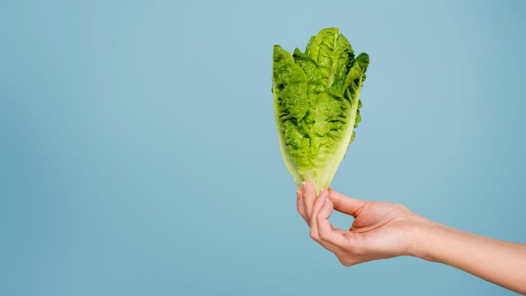 O vegetal que esconde benefícios surpreendentes para sua saúde