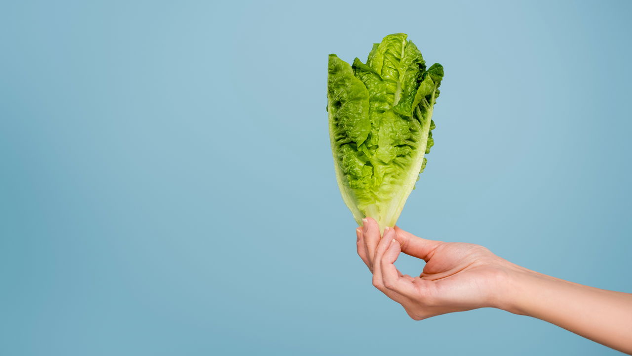 O vegetal que esconde benefícios surpreendentes para sua saúde