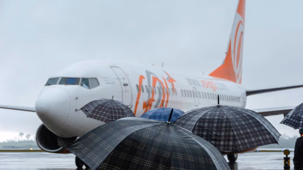 Mais um pássaro interrompe decolagem de avião no Brasil